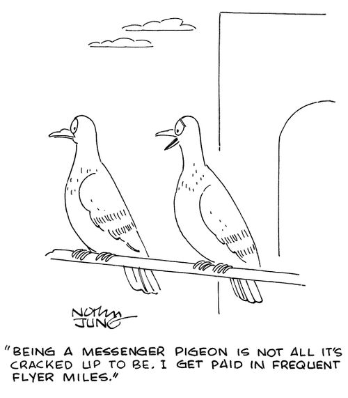 "Being a messenger pigeon is not all it's cracked up to be. I get paid in frequent flyer miles."