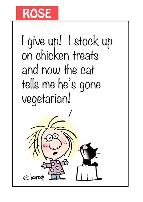 "I give up! I stock up on chicken treats and now the cat tells me he's gone vegetarian!"