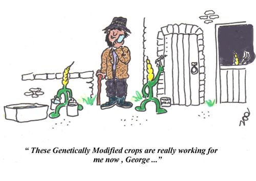 "These Genetically Modified crops are really working for me now,George..."