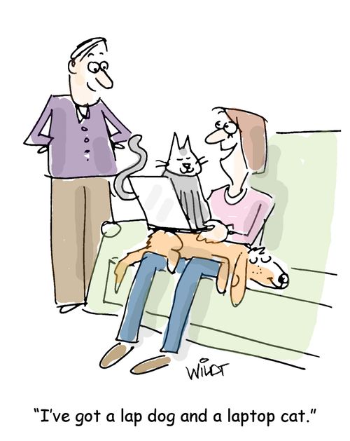 "I've got a lap dog and a laptop cat."