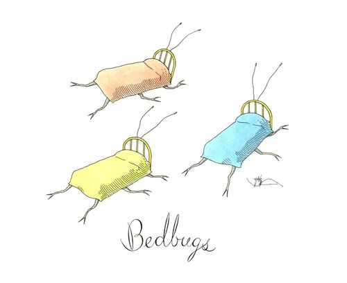 Bedbugs
