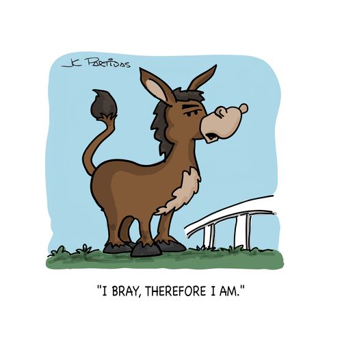 "I bray, therefore I am."