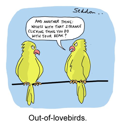 "And another thing: What's that strange clicking thing you do with your beak?"