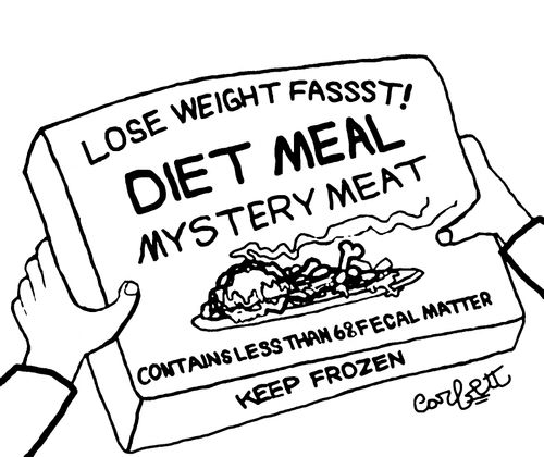 Frozen meal: Lose weight fassst!... DIET MEAL Mystery Meat...Contains less than 6%  fecal matter.
