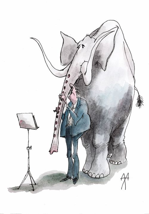 A man playing on an elephant