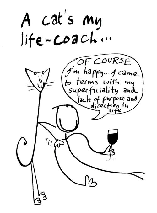 A Cat's my Life Coach