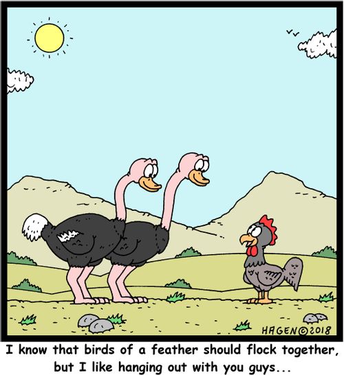"I know that birds of a feather should flock together, but I like hanging out with you guys..."