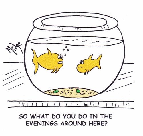 "So what do you do in the evenings around here?"