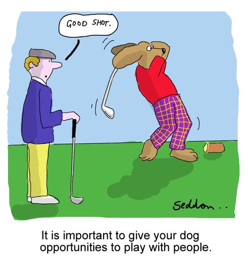 It is important to give your dog opportunities to play with people.