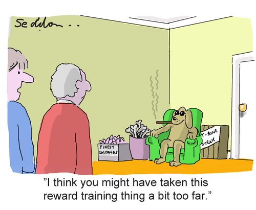 "I think you might have taken this reward training thing a bit too far."