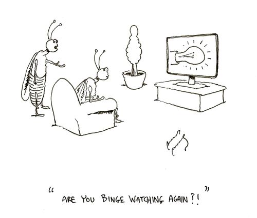 "Are you binge watching again?"