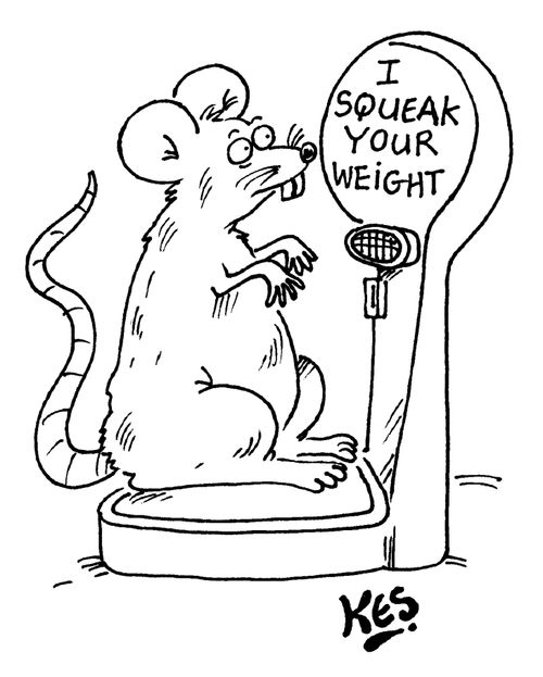 Mouse/Rat on weighing machine: 'I squeak your weight.'