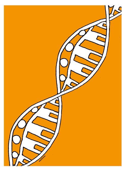 Family DNA