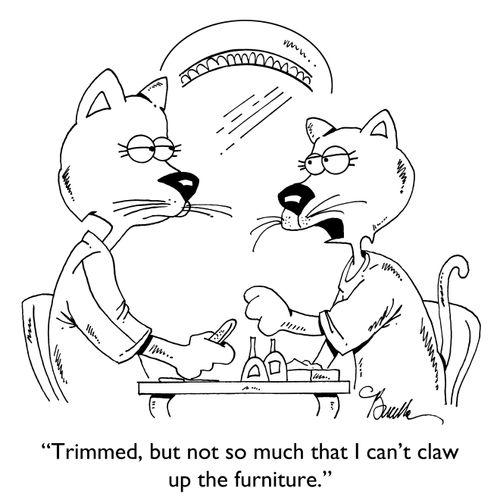"Trimmed, but not so much that I can't claw up the furniture."
