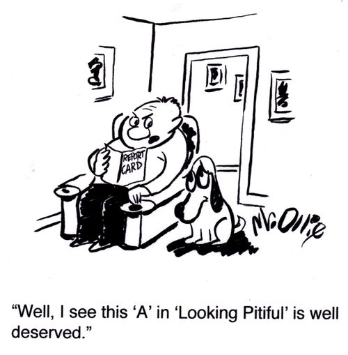 "Well, I see this 'A' in 'Looking Pitiful' is well deserved."
