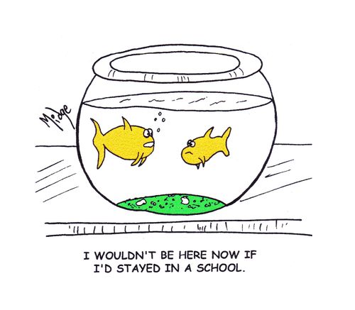 "I wouldn't be here now if I'd stayed in a school."