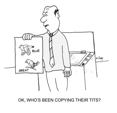 "Ok, who's been copying their tits?"