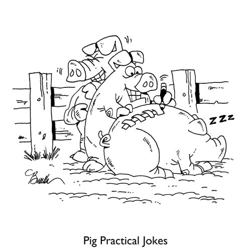 Pig Practical Jokes