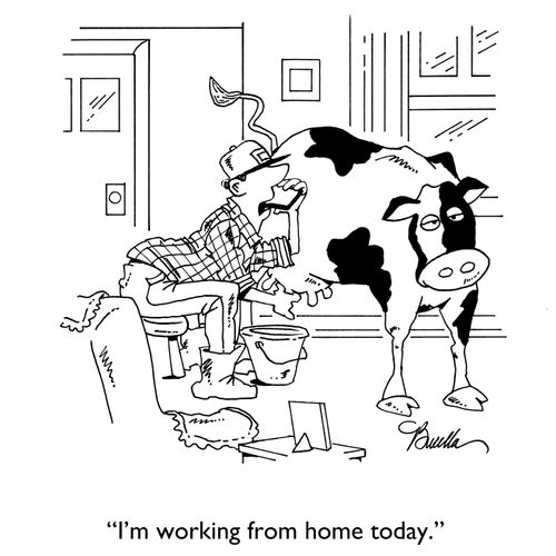 "I'm working from home today."