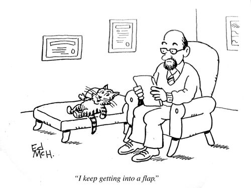 "I keep getting into a flap."