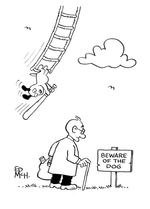 Beware of the Dog