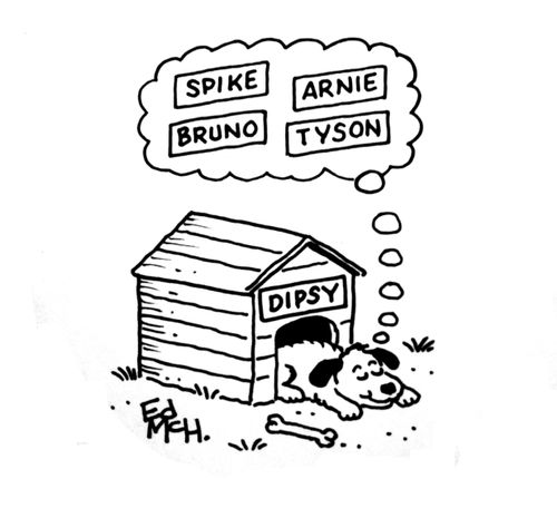 Dog Dreams