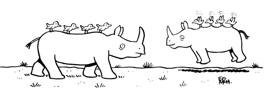 Flying Rhino