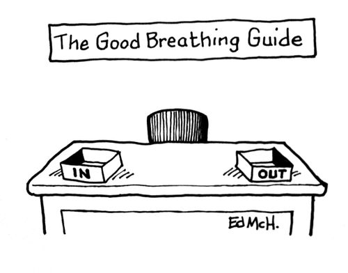 The Good Breathing Guide
