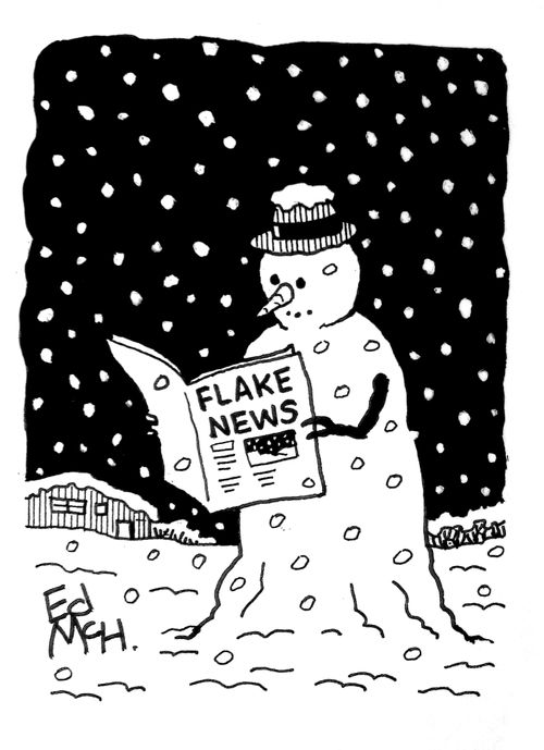 Flake News