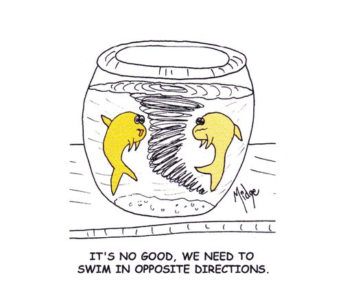 "It's no good, we need to swim in opposite directions."