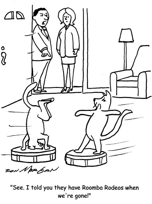 "See. I told you they have Roomba Rodeos when we're gone."