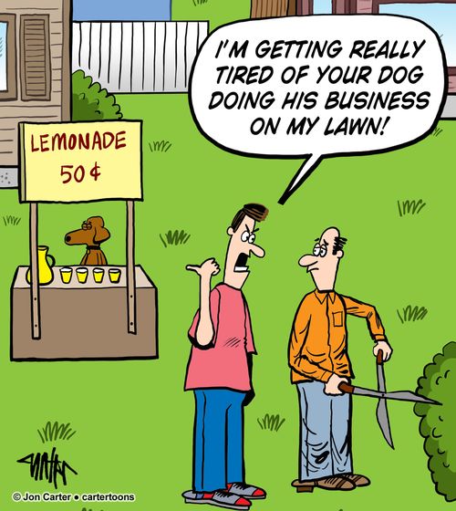 'I'm getting really tired of your dog doing his business on my lawn!'