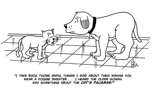 "I take back those awful things I said about them making you wear a doggie sweater...I heard the older woman say something about the cat's pajamas!"