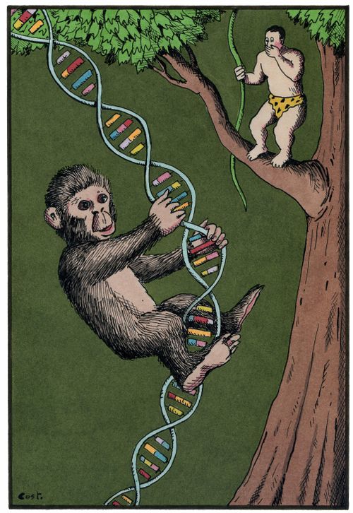 A monkey climbs a DNA double helix.