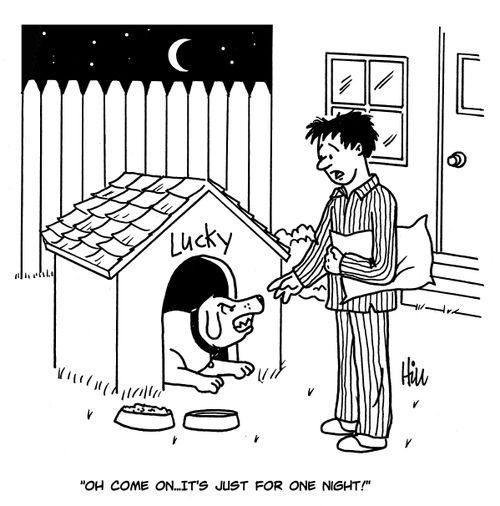 "Oh come on...it's just for one night!"