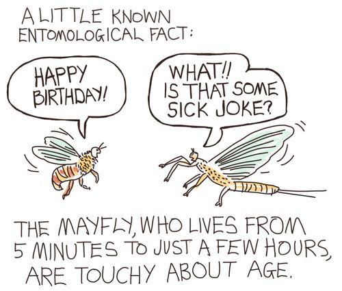 The Mayfly, who lives from 5 minutes to just a few hours, are touchy about age. 