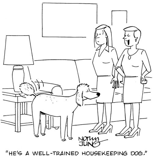 "He's a well-trained housekeeping dog."