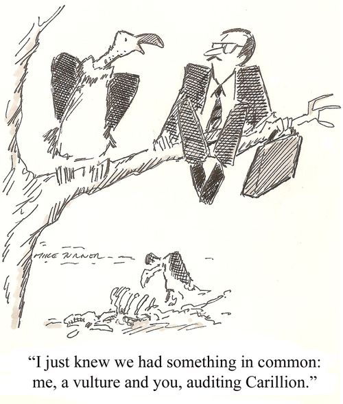 "I just knew we had something in common: me, a vulture and you, auditing Carillion."