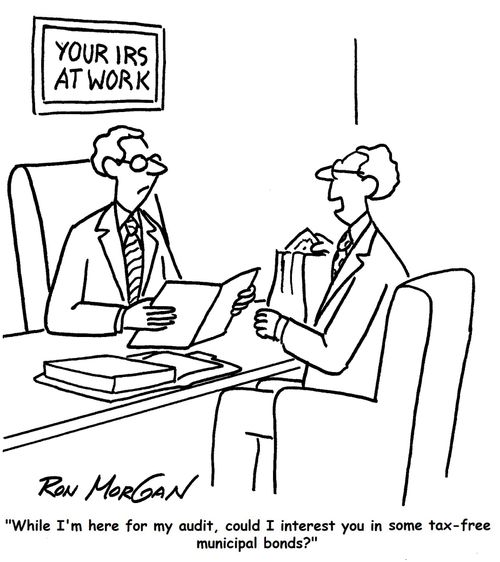 "While I'm here for my audit, could I interest you in some tax-free municipal bonds?"