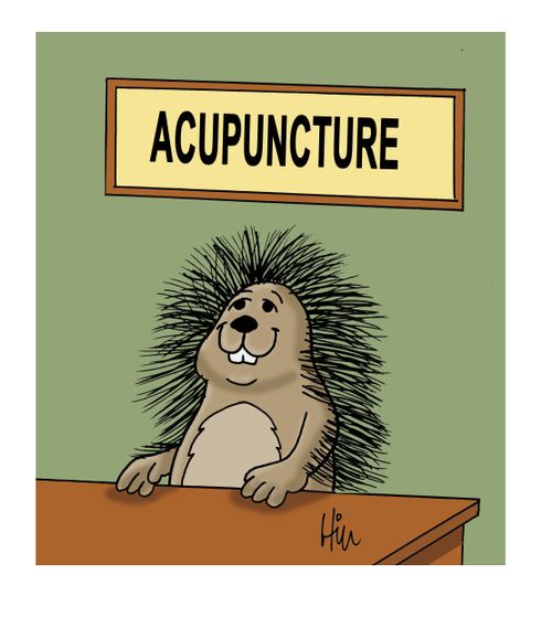 Porcupine Acupuncture 