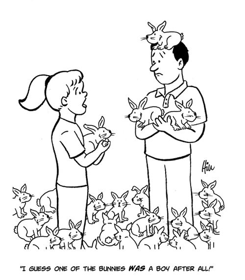 "I guess one of the bunnies was a boy after all!"