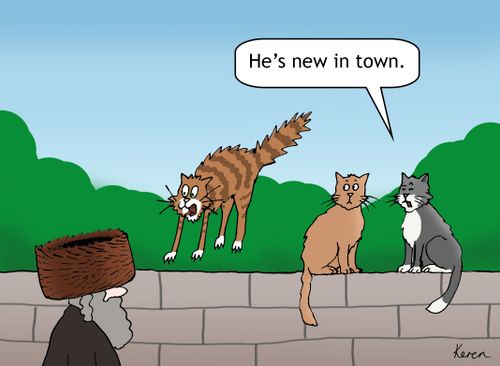 "He's new in town."