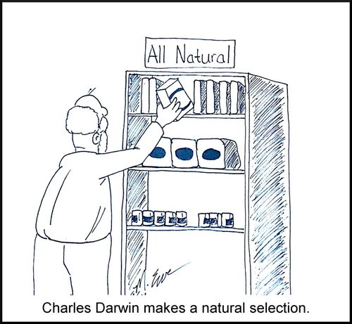 Charles Darwin makes a natural selection.