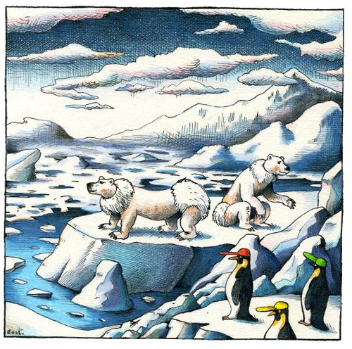 Animals of the North Pole Prepare for Global Warming