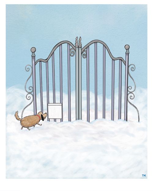 Doggie door in The Pearly Gates.