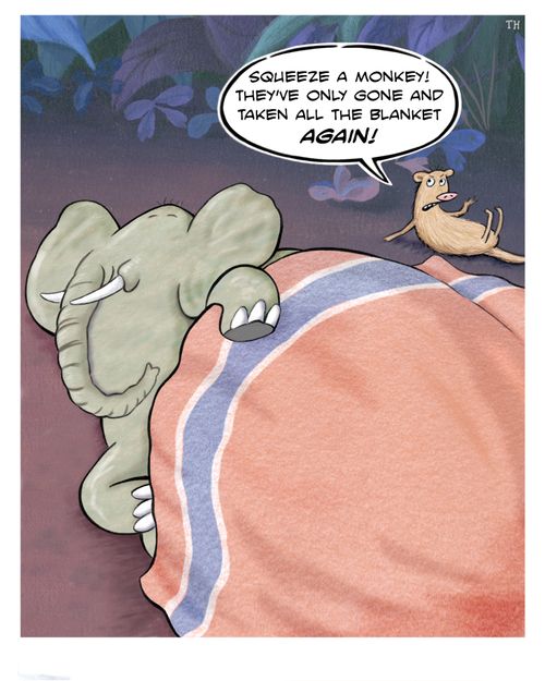"Squeeze a monkey! They've only gone and taken all the blanket again!"