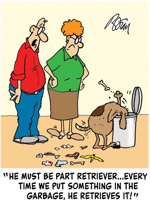 "He must be part retriever...every time we put something in the garbage, he retrieves it!