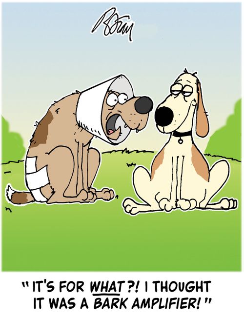 "It's for what?! I thought it was a bark amplifier!