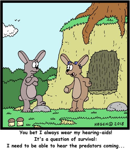 "You bet I always wear my hearing-aids! It's a question of survival: I need to be able to hear the predators coming..."