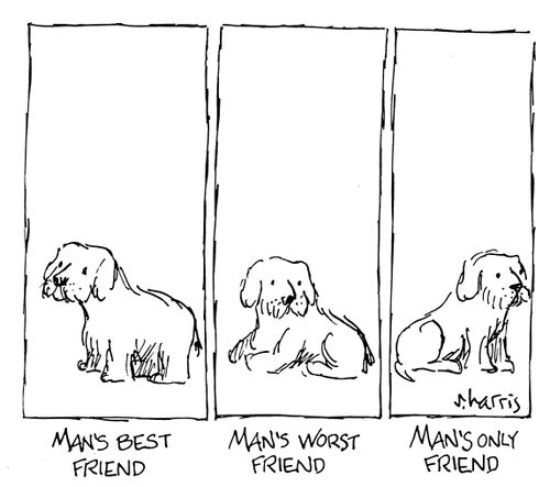 Man's Best Friend - Man's Worst Friend - Man's Only Friend
